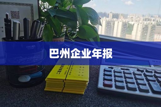 巴州企业年报