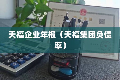 天福企业年报（天福集团负债率）