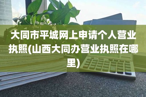 大同市平城网上申请个人营业执照(山西大同办营业执照在哪里)