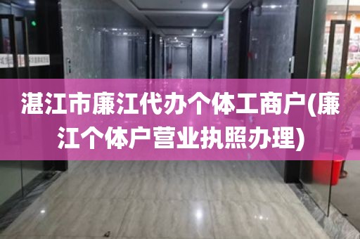湛江市廉江代办个体工商户(廉江个体户营业执照办理)
