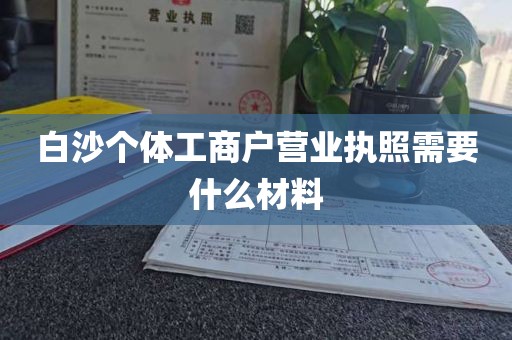 白沙个体工商户营业执照需要什么材料