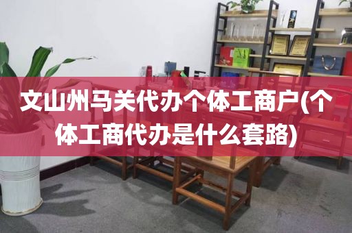 文山州马关代办个体工商户(个体工商代办是什么套路)