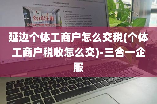 延边个体工商户怎么交税(个体工商户税收怎么交)-三合一企服