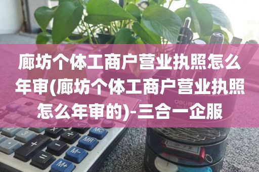 廊坊个体工商户营业执照怎么年审(廊坊个体工商户营业执照怎么年审的)-三合一企服