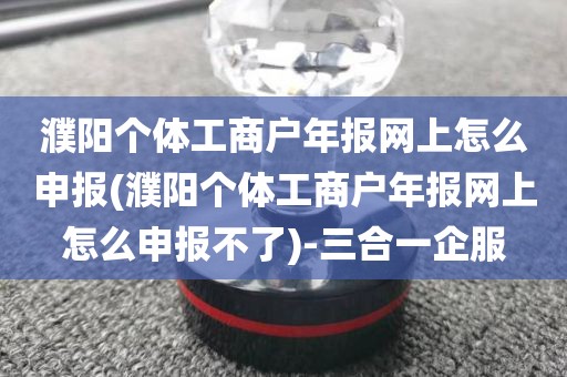 濮阳个体工商户年报网上怎么申报(濮阳个体工商户年报网上怎么申报不了)-三合一企服