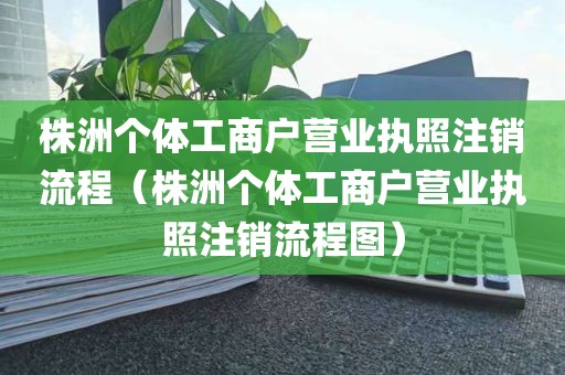 株洲个体工商户营业执照注销流程（株洲个体工商户营业执照注销流程图）