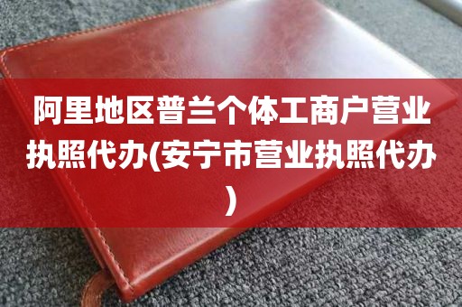 阿里地区普兰个体工商户营业执照代办(安宁市营业执照代办)