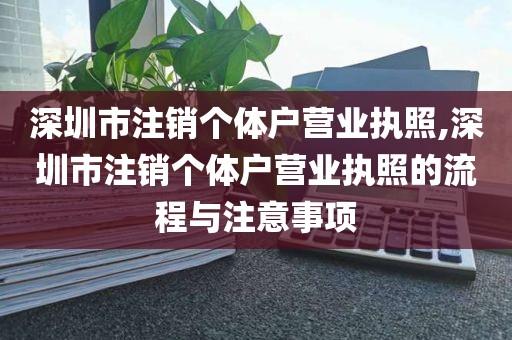 深圳市注销个体户营业执照,深圳市注销个体户营业执照的流程与注意事项