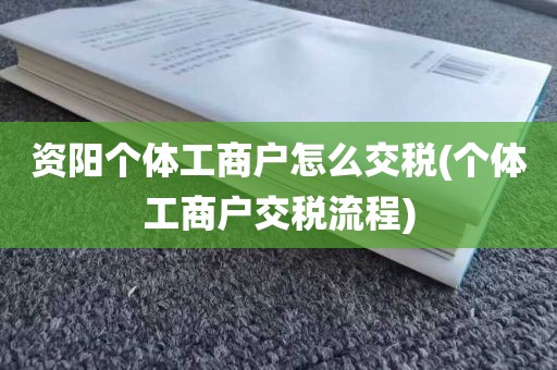 资阳个体工商户怎么交税(个体工商户交税流程)