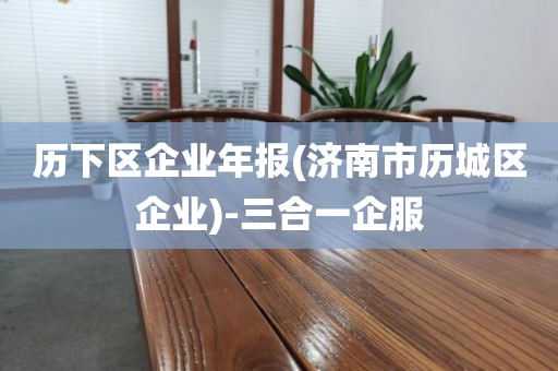 历下区企业年报(济南市历城区企业)-三合一企服