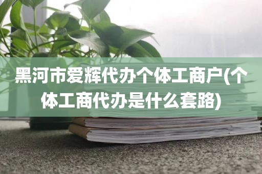 黑河市爱辉代办个体工商户(个体工商代办是什么套路)