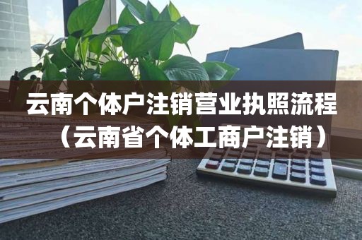 云南个体户注销营业执照流程（云南省个体工商户注销）