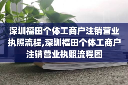 深圳福田个体工商户注销营业执照流程,深圳福田个体工商户注销营业执照流程图