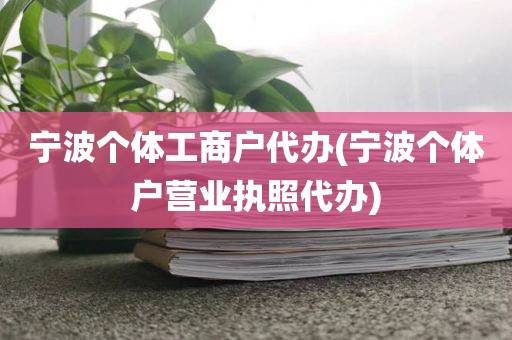 宁波个体工商户代办(宁波个体户营业执照代办)
