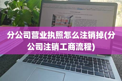 分公司营业执照怎么注销掉(分公司注销工商流程)