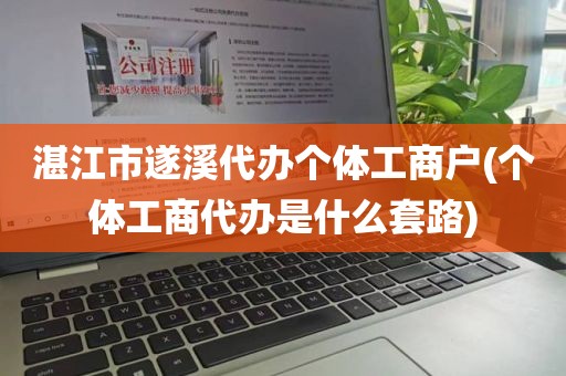 湛江市遂溪代办个体工商户(个体工商代办是什么套路)