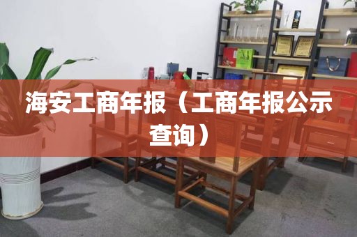 海安工商年报（工商年报公示查询）
