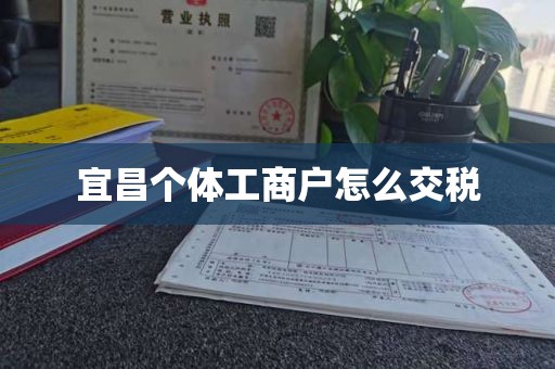 宜昌个体工商户怎么交税