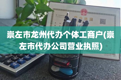 崇左市龙州代办个体工商户(崇左市代办公司营业执照)