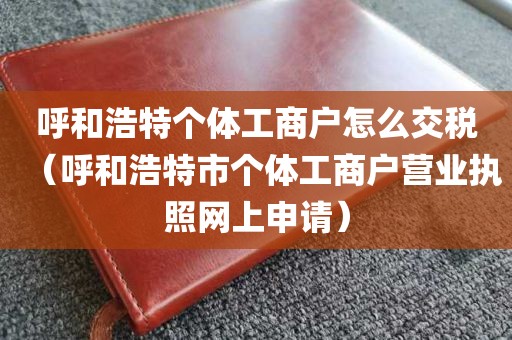 呼和浩特个体工商户怎么交税（呼和浩特市个体工商户营业执照网上申请）