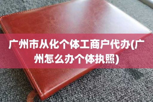 广州市从化个体工商户代办(广州怎么办个体执照)