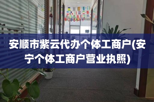 安顺市紫云代办个体工商户(安宁个体工商户营业执照)