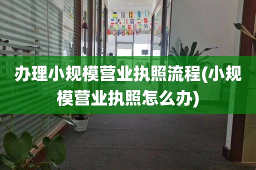 办理小规模营业执照流程(小规模营业执照怎么办)
