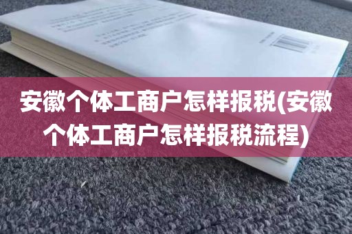 安徽个体工商户怎样报税(安徽个体工商户怎样报税流程)