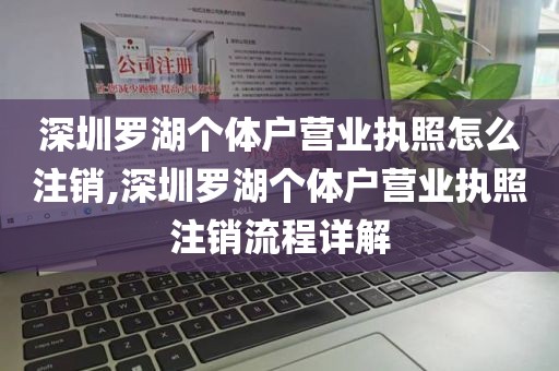 深圳罗湖个体户营业执照怎么注销,深圳罗湖个体户营业执照注销流程详解