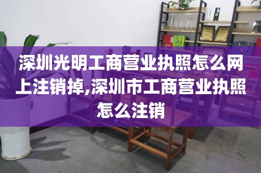 深圳光明工商营业执照怎么网上注销掉,深圳市工商营业执照怎么注销