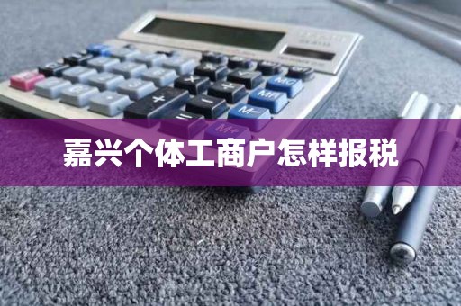 嘉兴个体工商户怎样报税