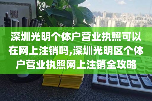 深圳光明个体户营业执照可以在网上注销吗,深圳光明区个体户营业执照网上注销全攻略