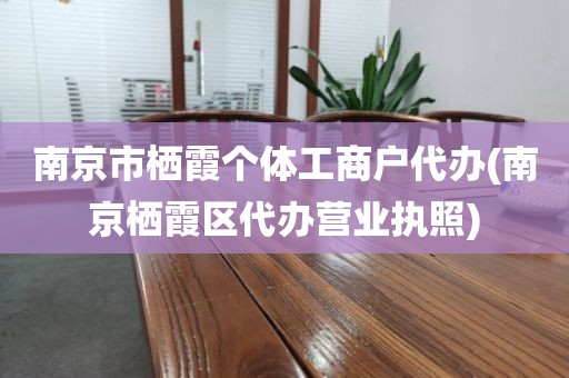 南京市栖霞个体工商户代办(南京栖霞区代办营业执照)
