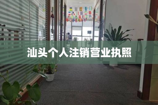 汕头个人注销营业执照