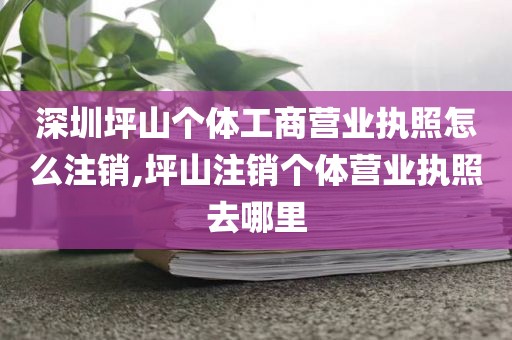 深圳坪山个体工商营业执照怎么注销,坪山注销个体营业执照去哪里