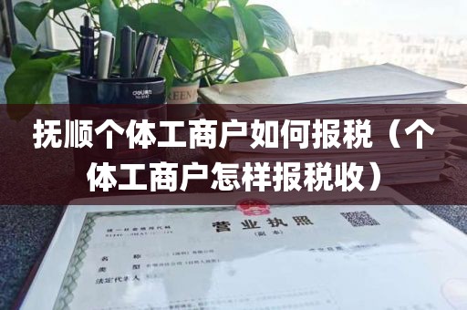 抚顺个体工商户如何报税（个体工商户怎样报税收）