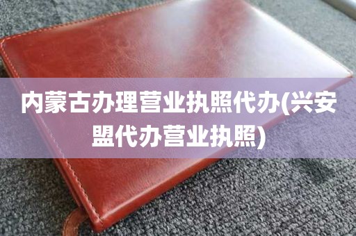 内蒙古办理营业执照代办(兴安盟代办营业执照)