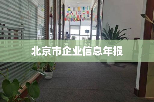 北京市企业信息年报