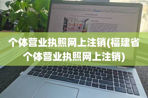 个体营业执照网上注销(福建省个体营业执照网上注销)