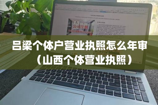 吕梁个体户营业执照怎么年审（山西个体营业执照）
