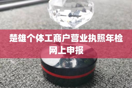 楚雄个体工商户营业执照年检网上申报