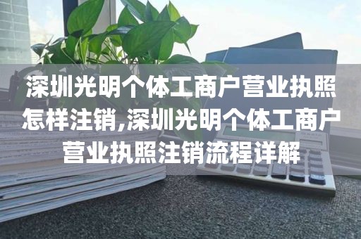 深圳光明个体工商户营业执照怎样注销,深圳光明个体工商户营业执照注销流程详解