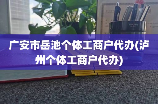 广安市岳池个体工商户代办(泸州个体工商户代办)