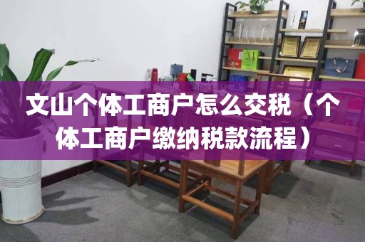 文山个体工商户怎么交税（个体工商户缴纳税款流程）