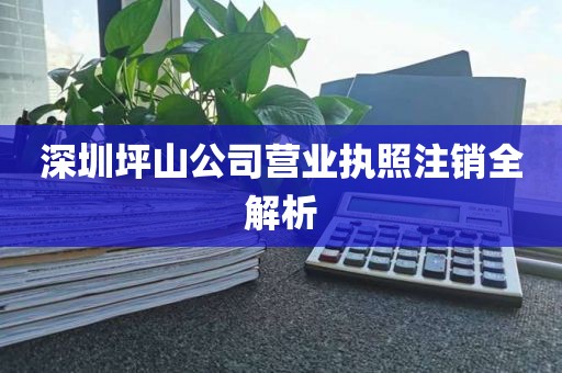 深圳坪山公司营业执照注销全解析