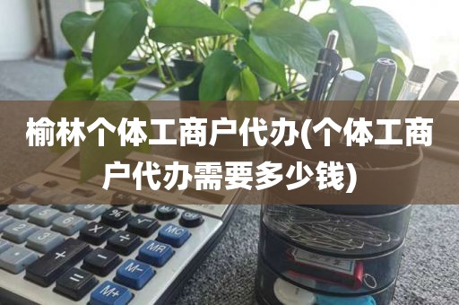 榆林个体工商户代办(个体工商户代办需要多少钱)