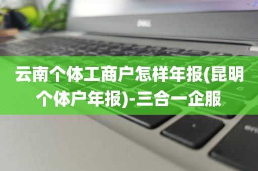 云南个体工商户怎样年报(昆明个体户年报)-三合一企服