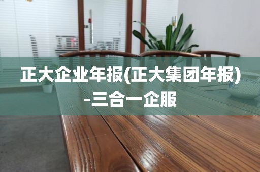 正大企业年报(正大集团年报)-三合一企服