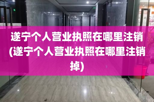 遂宁个人营业执照在哪里注销(遂宁个人营业执照在哪里注销掉)