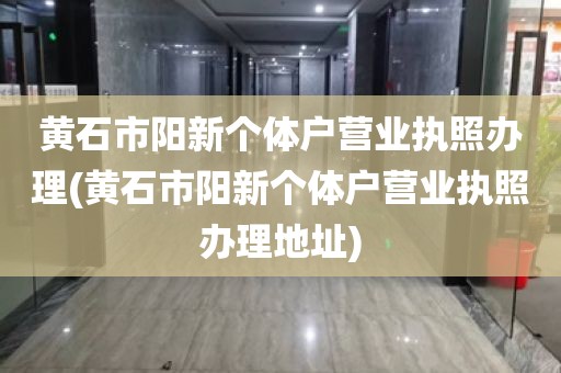 黄石市阳新个体户营业执照办理(黄石市阳新个体户营业执照办理地址)